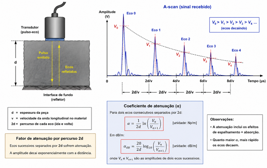 Transdutor pulso-eco e A-scan com ecos sucessivos de amplitude decrescente
