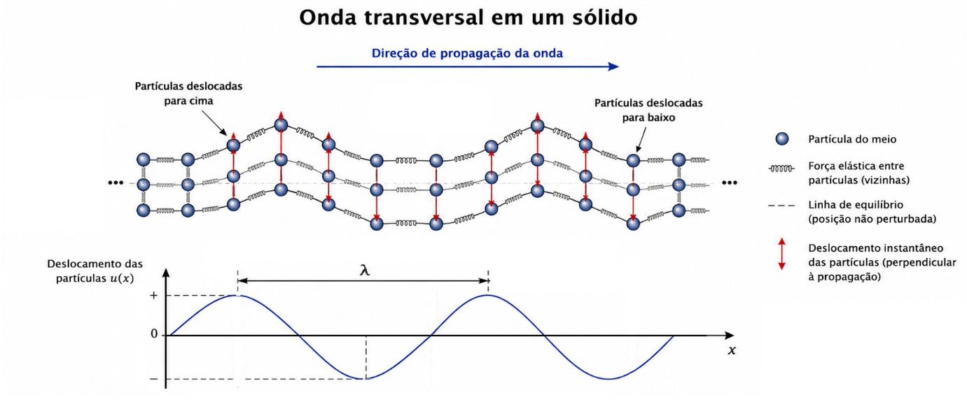 Modelo massa-mola mostrando partículas oscilando perpendicularmente à propagação da onda transversal