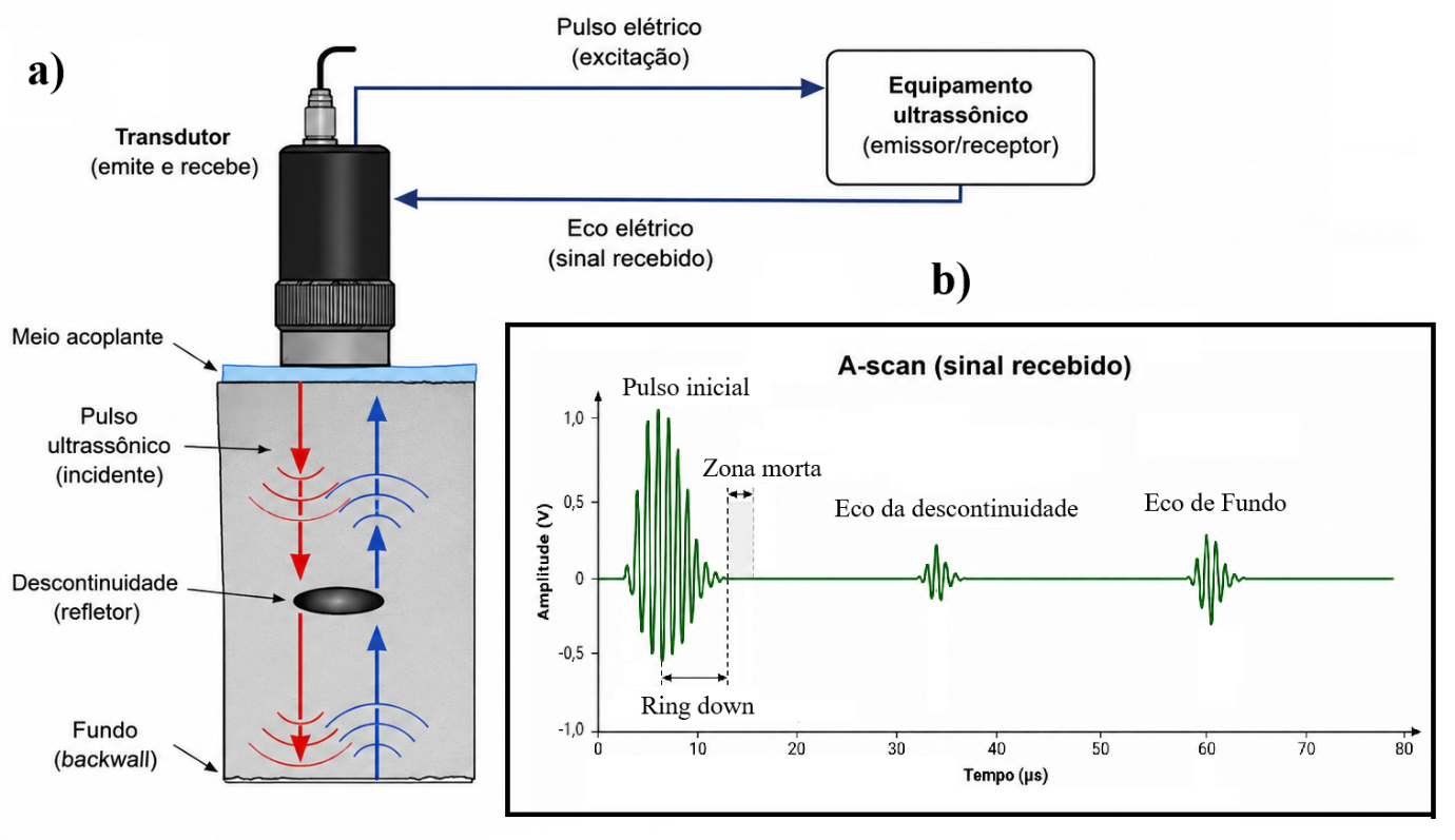 Transdutor operando em pulso-eco e A-scan com pulso inicial, zona morta e ecos